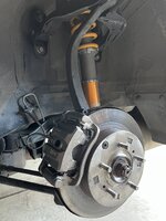 IMG_8074.jpeg