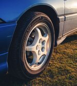 IMG_7532.jpeg