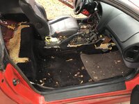 IMG_1303.jpeg