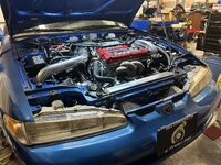 IMG_1755.jpeg