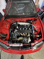 IMG_0347.jpeg