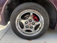 IMG_5342.JPG