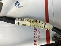 IMG_6592.jpeg