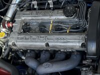 IMG_5395.jpeg