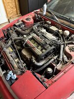 IMG_0059.jpeg