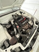 IMG_0286.jpeg