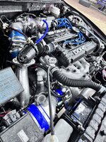 IMG_2892.jpeg