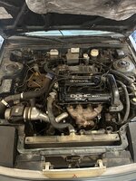 IMG_1387.jpeg