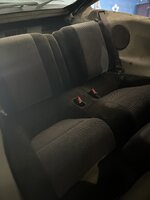 IMG_1394.jpeg