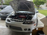 IMG_2503.jpeg
