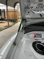 IMG_5533.jpeg