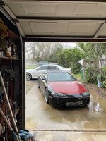 IMG_3920.jpeg