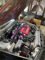 IMG_3879.jpeg