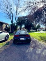 IMG_3852.jpeg