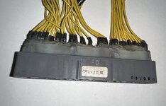 IMG_5731.jpeg