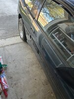 IMG_1455.jpeg