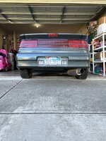 IMG_1453.jpeg