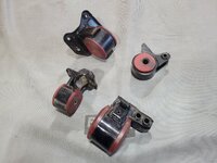 20250311_092929.jpg