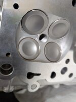 PXL_20250314_021230647.jpg PXL_20250314_021230647.jpg