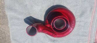 20250320_151206.jpg