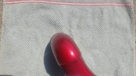 20250320_151229.jpg