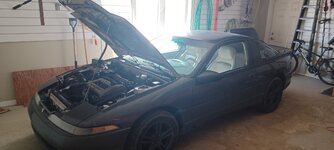 Stock