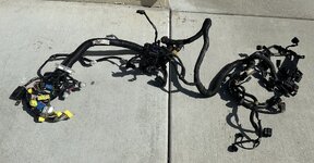 IMG_6420.jpeg