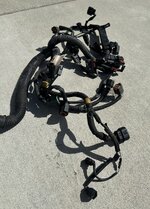 IMG_6423.jpeg