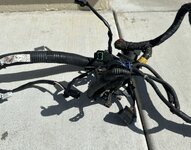IMG_6422.jpeg