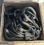IMG_6417.jpeg