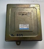 IMG_6597.jpeg