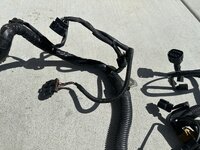 IMG_6397.jpeg