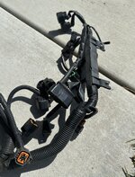 IMG_6399.jpeg