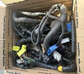 IMG_6401.jpeg