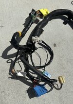 IMG_6403.jpeg
