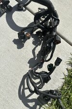 IMG_6404.jpeg