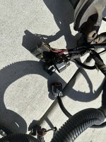 IMG_6405.jpeg