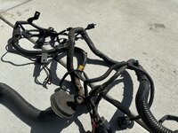 IMG_6406.jpeg