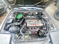 IMG_1148.jpeg