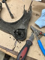 IMG_0484.jpeg