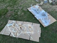 IMG_0534.jpeg