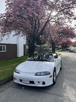 IMG_2428.jpeg