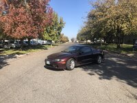 IMG_4734.jpg
