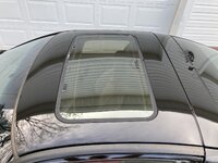 IMG_8541.jpeg