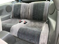 IMG_8531.jpeg