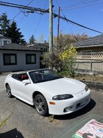 IMG_2515.jpeg