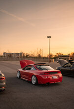 IMG_1949.jpeg