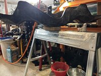 IMG_0756.jpeg