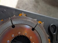 PXL_20250508_001628909.jpg