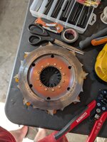 PXL_20250508_001607338.jpg
